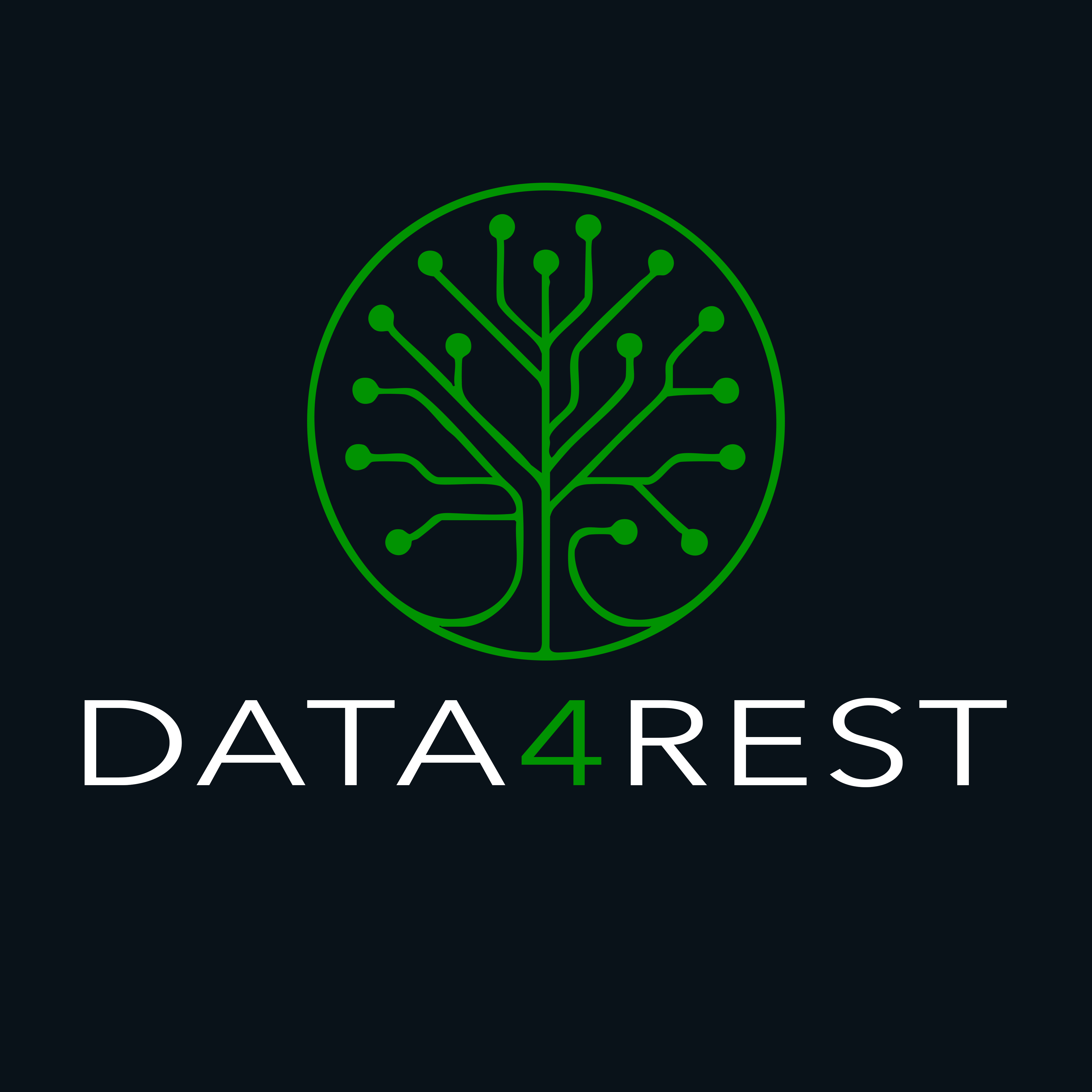 DATA<span style='color: #019301'>4</span>REST Logo